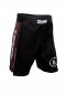 Preview: Okami Competition Fightshorts Braun