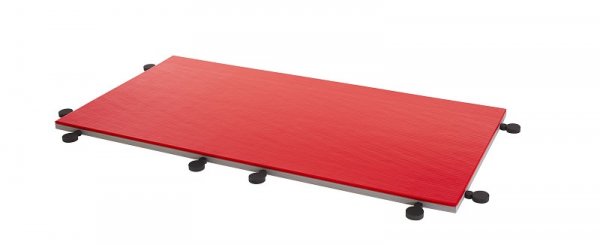 MMA & BJJ Tatami ProGame I-Tis Training 200*100*4cm